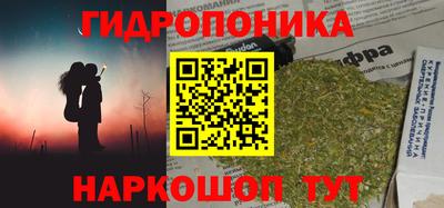 крисы Краснознаменск