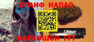 крисы Краснознаменск