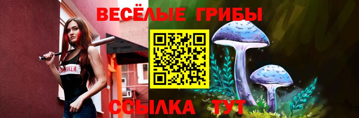 Галлюциногенные грибы Psilocybine cubensis Железноводск